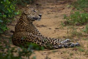 Sri Lanka